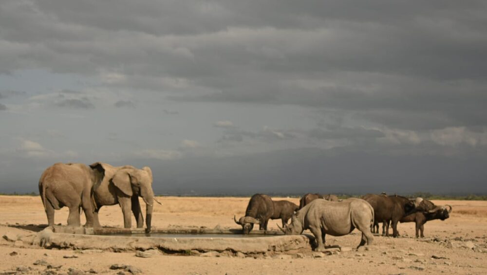 10-Days Kenya Photography Safari