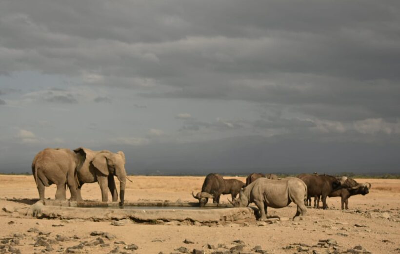 10-Days Kenya Photography Safari